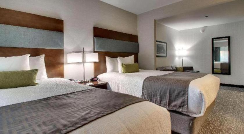 Western Hotel 2*
